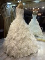 ORKİDEB